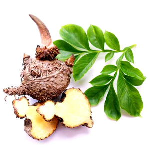 گلوکومانان (Glucomannan)