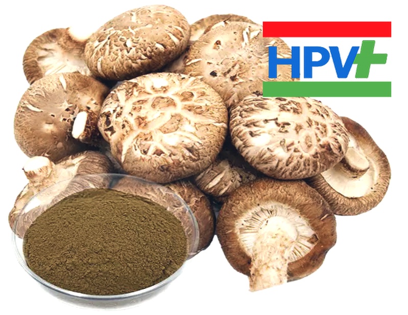 قرص ahcc ژاپنی برگرفته از قارچ شیتاکه